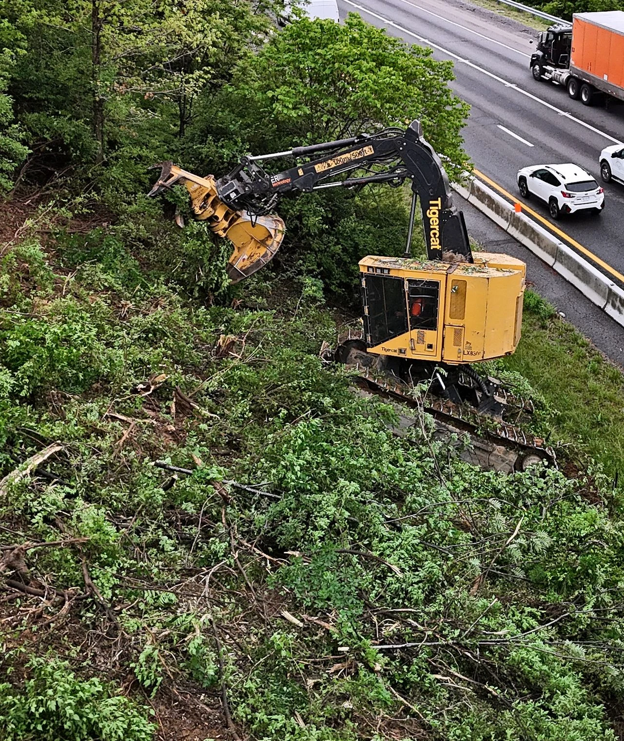 Tracked forestry machine cutting trees on a steep slope alongside I-81